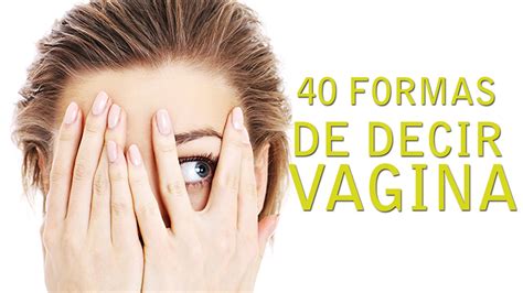 tipos de chochos|Los 8 tipos de vagina (dependiendo de la forma de la vulva)